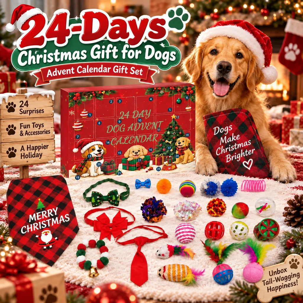 Hunde Adventskalender Mit Spielzeug Und Zubehör | Weihnachten